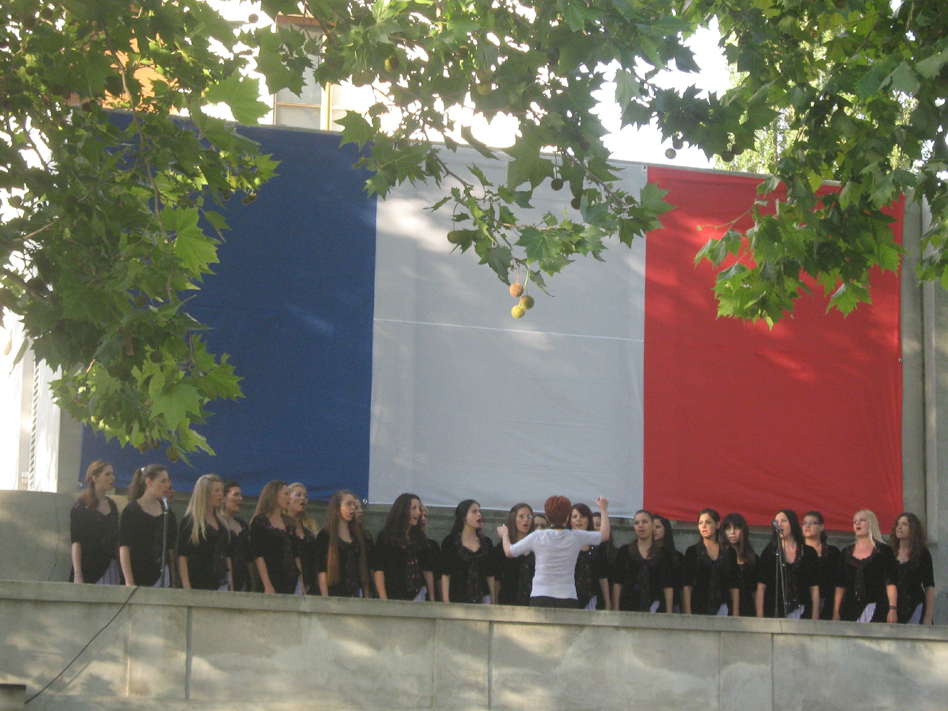 Национални празник Француске 2010.